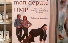J’élève mon député UMP