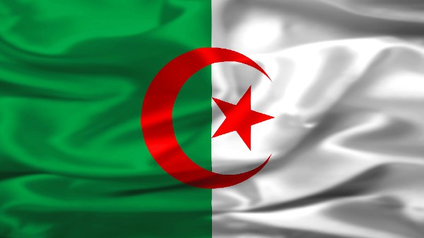 Les rosiers ne fleurissent pas en Algérie