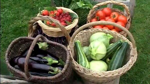 Jardins d&rsquo;une nouvelle ère, permaculture et agro-écologie… Lancez-vous !