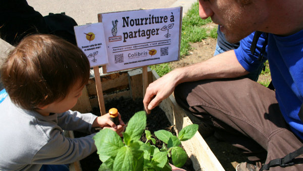 Plantons dans la ville, avec les Incroyables Comestibles Paris (24 août 2013)