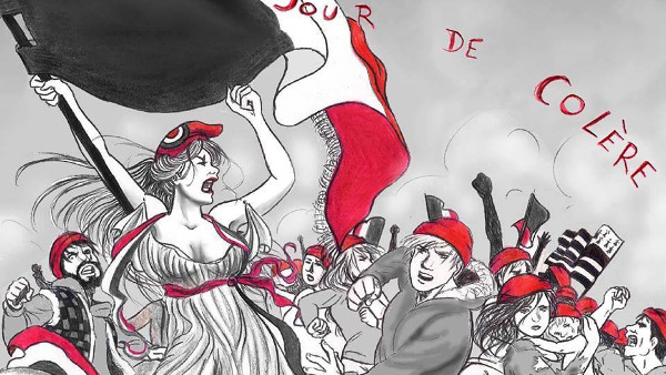 Jour de Colère (26 janvier 2014)