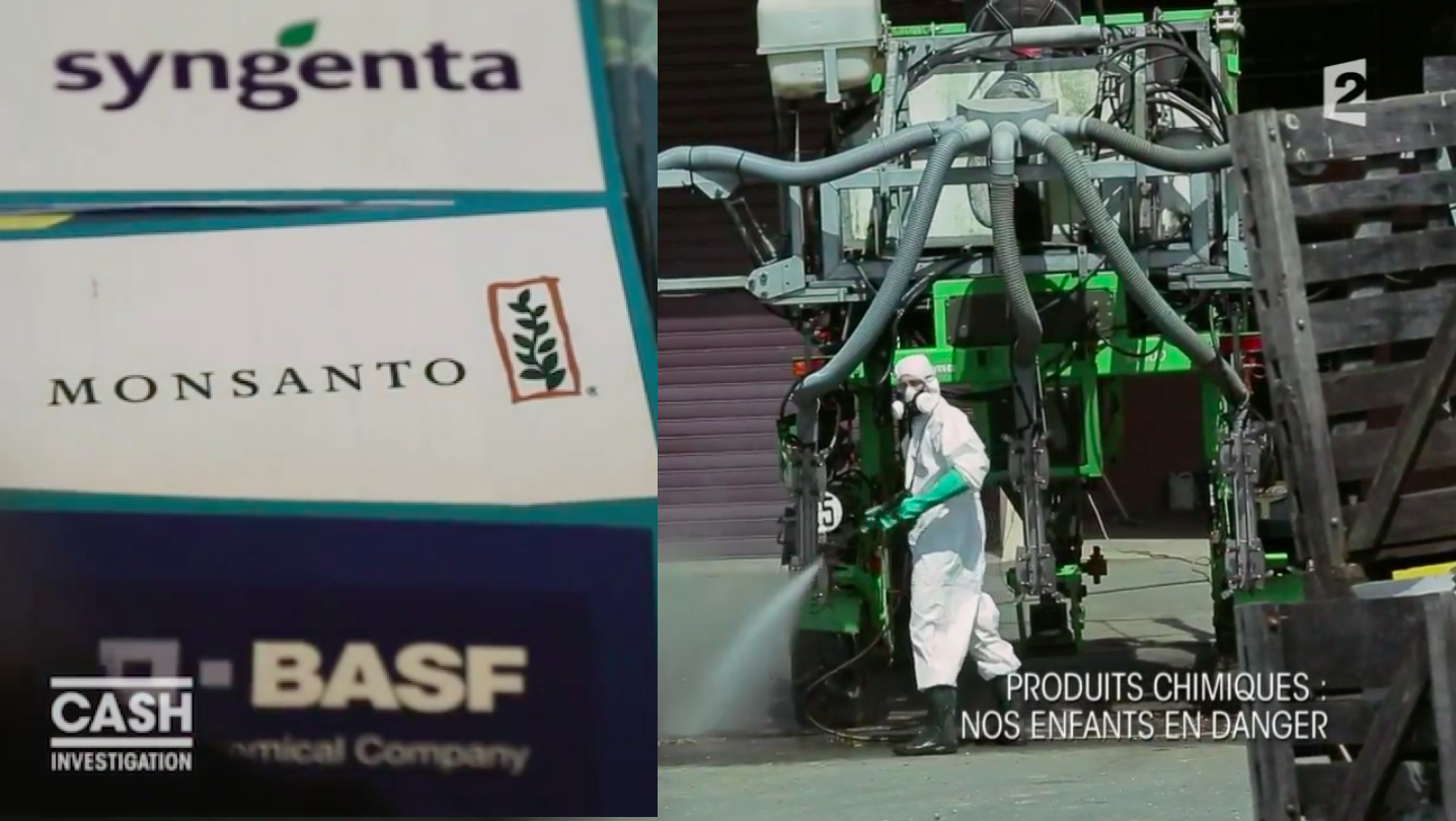 Cash Investigation : quand France Télévisions empoisonne la vie de Monsanto