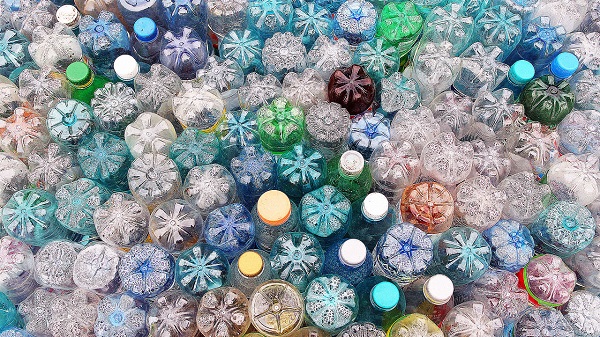 Une bactérie mangeuse de plastique