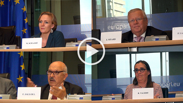 Reportage au colloque sur le Yémen au Parlement européen