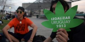 Les députés uruguayens approuvent la vente de cannabis par l’Etat (Romandie)