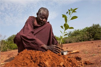 L’homme qui a arrêté le désert (Courant positif)