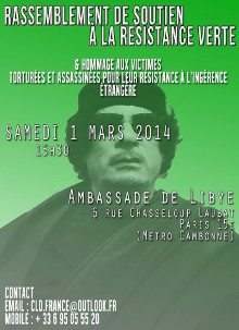 rassemblement-libye-220
