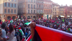 manifestation-toulouse-300