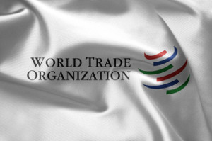 WTO-300