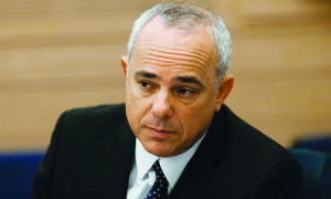 Yuval-Steinitz-300
